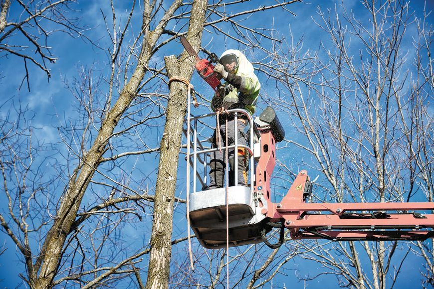 Пила ланцюгова акумуляторна MILWAUKEE, M18 FUEL FCHS-121 4933464223 фото